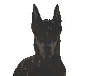 Doberman