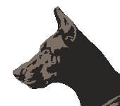 Doberman