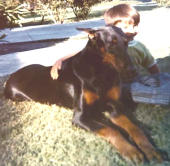 Sierra Dobie Farms Dobermans