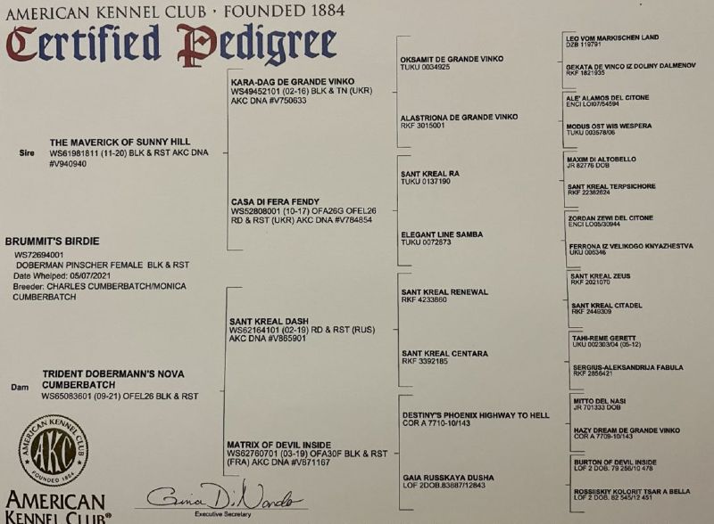 Pedigree Lakeview's Birdie